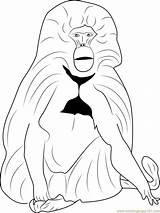 Gelada Baboon Coloring Page For Kids  Free Printable sketch template