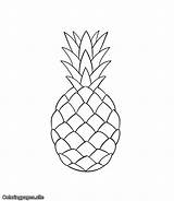 Pineapple Online coloring page  Coloring Pages sketch template