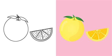 Premium Vector | Fruit coloring sheet