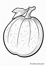 Honeydew Melon Coloring Page » Free Download Artus Art sketch template