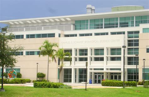 Florida Atlantic University | Research, Boca Raton, Education | Britannica