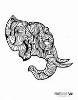8 elephant Adult coloring Pages That Are Decorative & Detailed At  sketch template