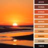 Orange and Black Color Palette Ideas for a Home • KBM D3signs