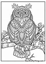 coloring Pages For adults Easy Serendipity adult  sketch template