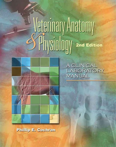 The Anatomy And Physiology Of Animalsexcretory System - vrogue.co