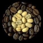 Coffee Facts - Everything You Need To Know About Coffee!