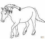 Horse Coloring Pages Horses Jumping Sketch Page sketch template