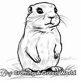 Prairie Dog Coloring Pages  Free & Printable sketch template