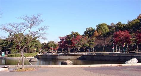 Ulsan Grand Park - Ulsan