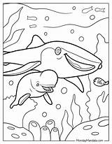 Destiny Whale Shark Finding Dory Coloring Page Pdf Clip sketch template