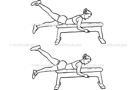 Bench Flutter Kicks | WorkoutLabs 💪