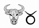 Taurus Adult Coloring Page  ThriftyFun sketch template