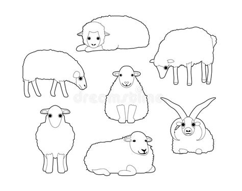 Various Domestic Rabbit Breeds Cartoon Vector Illustration Stock Vector - Illustration of hotot ...
