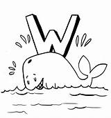 Free Printable Whale Coloring Pages For Kids sketch template