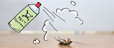 Top 10 Pest Control Tips and Tricks to Keep Pests Away - The Urban Life