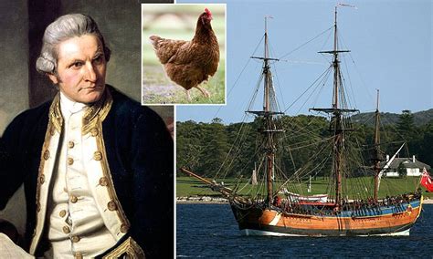 Captain James Cook brought the first chickens to New Zealand | Daily Mail Online