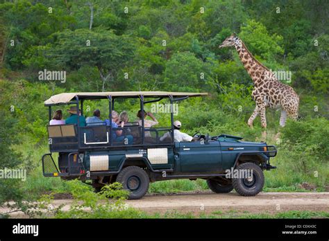 African Safari Truck