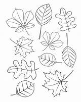 Leaves coloring Pages  90 Free For Kids sketch template