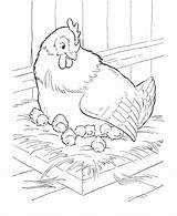 Chicken coloring pages rooster – Artofit sketch template