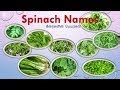 keerai vagaigal(Names) in Tamil and English With Images|spinach Names|Greens Types|கீரை வகைகள் ...