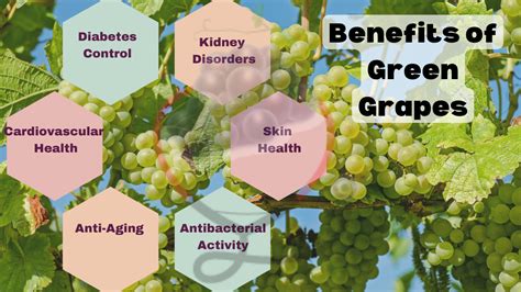 12 Evidence-Based Benefits of Green Grapes