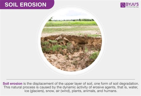 What Is Soil Erosion? - Definition, Causes, Effects, Prevention