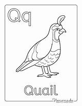 Free Printable Alphabet Coloring Pages For Kids sketch template
