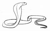 Garter Snake Drawing  Free Download On ClipArtMag sketch template