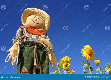 Scarecrow in a Sunflower Field Stock Image - Image of field, farm: 29087