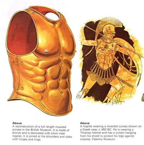 Form Fitting Armour | Ancient greece, Greek warrior, Ancient warriors