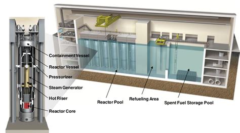 Model of NuScale power module (left) and cutaway of 12-module plant ...