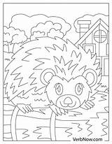 Free PORCUPINE Coloring Pages For Download Printable PDF sketch template