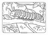 Printable Caterpillar Coloring Page sketch template