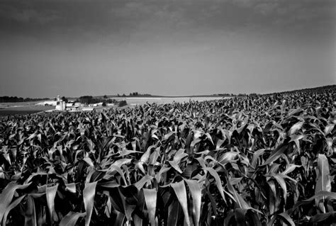 100 Words: The Farm Families Of Vermont : The Picture Show : NPR