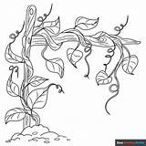 Vines Coloring Page  Easy Drawing Guides sketch template
