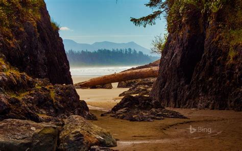 Beach near Tofino, Vancouver Island, Canada (© Cavan Images/Offset) - Bing Wallpapers - Sonu Rai ...