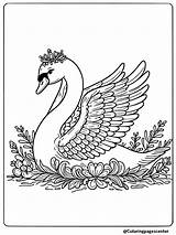 11 Cute Bird Coloring Pages  Free Printable PDFs sketch template