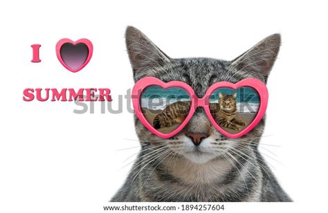 2,936 Cat Glasses Heart Images, Stock Photos & Vectors | Shutterstock