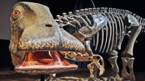 Nigersaurus: The 'Mesozoic Cow' With More Than 500 Teeth | HowStuffWorks