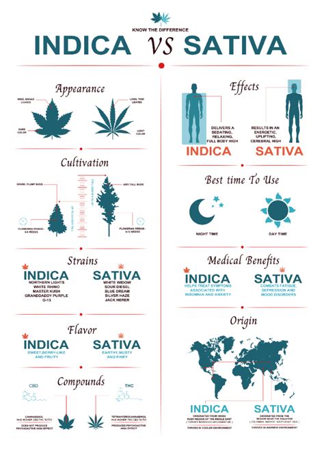 Indica vs Sativa effects: the differences | Weedseedsexpress