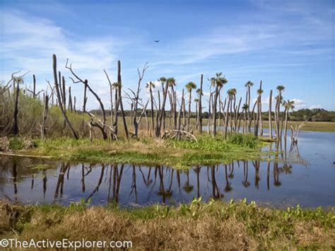 Orlando Wetlands Park-3 | The Active Explorer®