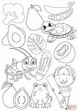 Green Color coloring Page  Free Printable Coloring Pages sketch template