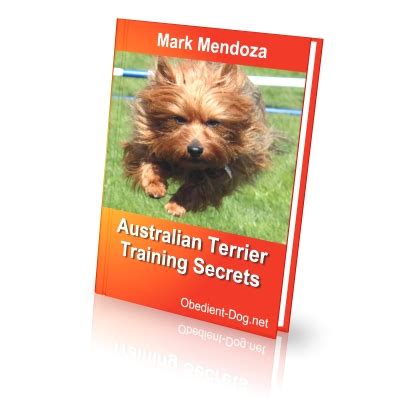 Australian Terrier Training Secrets - How To Train a Australian Terrier