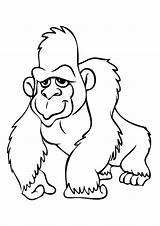 Gorilla Coloring Pages & Books  100% FREE And Printable Home sketch template