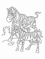 Mother And Baby Zebra Standing coloring page  Download Print Or Color sketch template