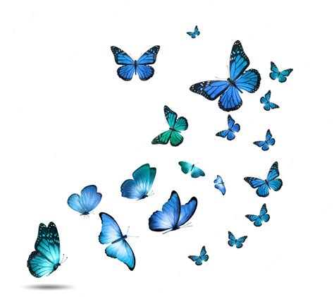 Premium Photo | A flock of colorful flying butterflies isolated on a white background. High ...