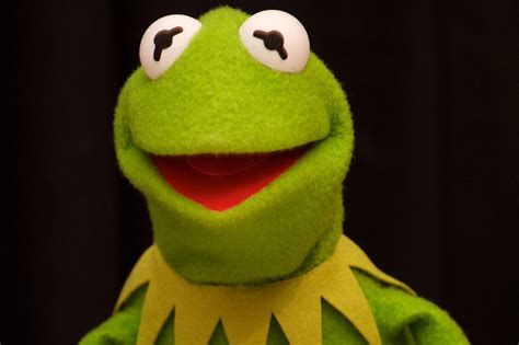 🔥 [50+] Kermit the Frog Wallpapers | WallpaperSafari