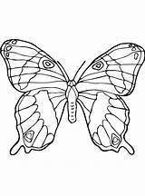 Coloring Vlinder Fluturi Schmetterling Farfalle Disegni Vlinders  sketch template