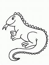 Free Printable Iguana Coloring Pages For Kids sketch template