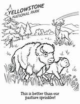 National Park Coloring Pages sketch template
